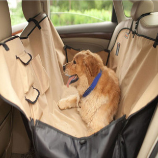 详解带狗狗出行的攻略,带狗狗短途出门需要带什么自驾游