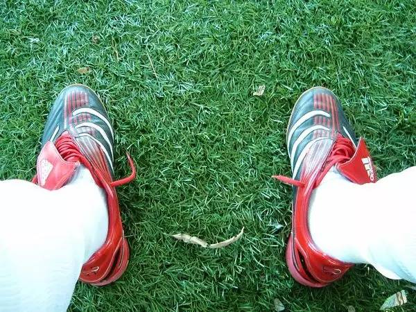 阿里山的少年壮如山，那些勇闯世界的台湾球员