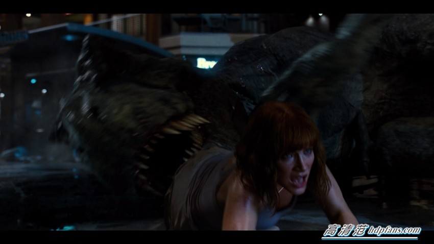 荣耀盒子装什么才能看电视直播,荣耀盒子可以安装电视直播吗