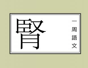 哺乳期脱发是肾虚吗,生完孩子脱发是缺钙吗