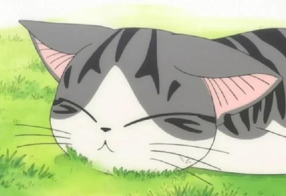 可爱动漫猫图片,十分可爱的动漫猫