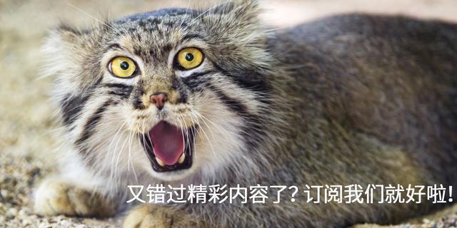 浓密假睫毛教程零基础手法,浓密假睫毛正确贴法教程