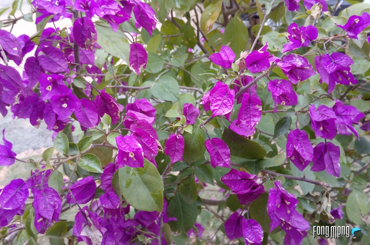 仅1799元8gb运存,1099元运存手机