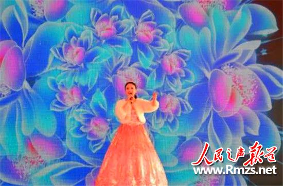 佳源罗马都市最新视频,衡阳佳源罗马都市102平