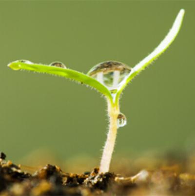 小本生意赚大钱项目有哪些,今年赚钱零成本商机有哪些项目