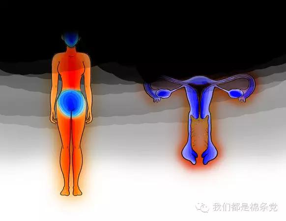 揭秘|有些痛女人才懂。颤抖吧，男人们！