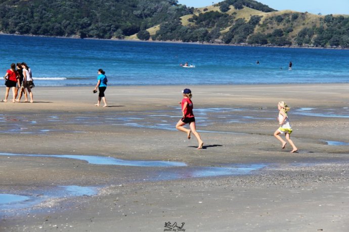 到怀希基岛,品酒-看海