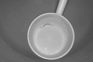 自来水有虫子疑因水池久未清理