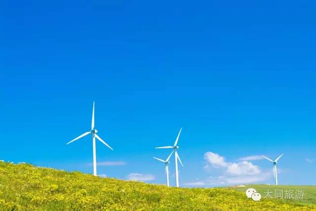 辉腾锡勒黄花沟草原旅游区花海,黄花沟窝阔台草原