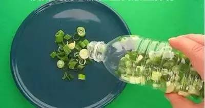 上海今夏高温已达42天,上海本周再现35℃高温天