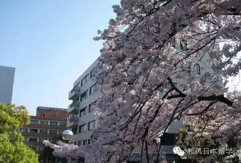 大阪大学在日本是什么地位,大阪最牛逼的大学