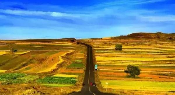 保定周边免费看红叶最佳旅游地点,保定周边一日游看红叶自驾游