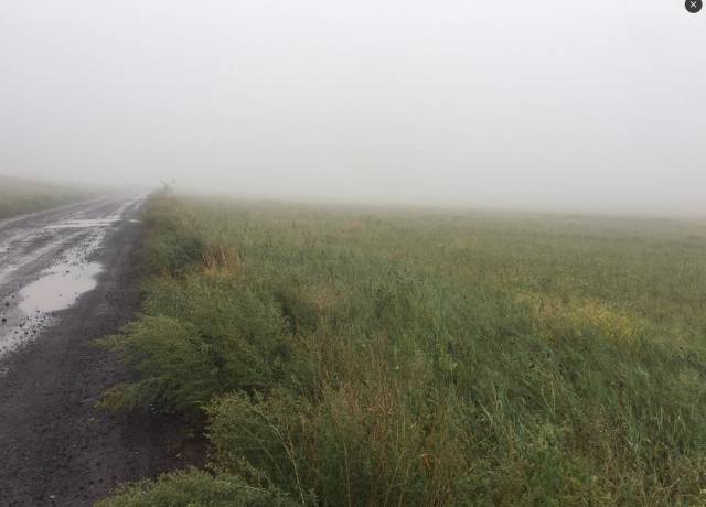 草原大雨来临前的场景,草原大雨来临