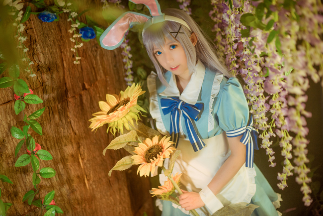 香风智乃cos假发造型过程,香风智乃cos正片户外