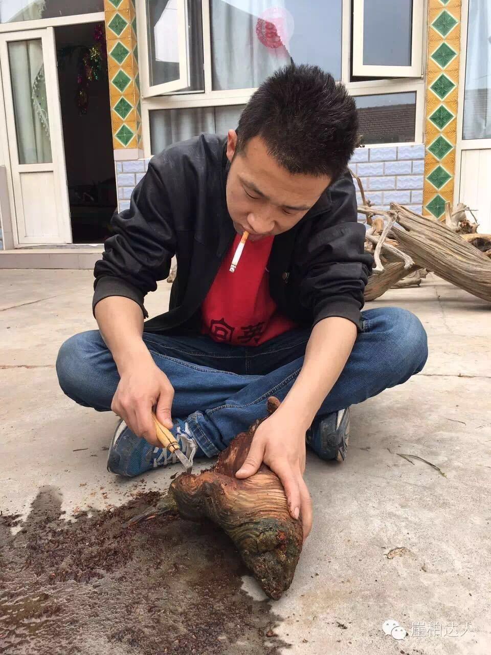 手把手教你打磨崖柏,崖柏玩皮怎么打磨