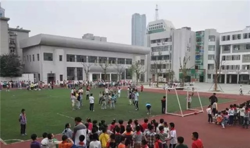 合肥最牛的十所小学,合肥市莲花小学排名第几