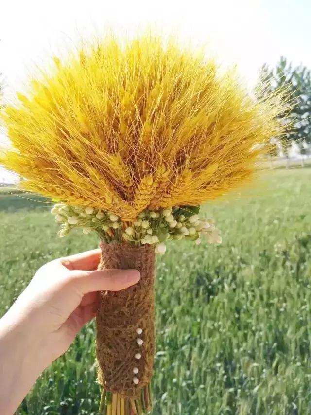 四川绵阳农村婚礼现场,成都农村如何办一场极简的婚礼