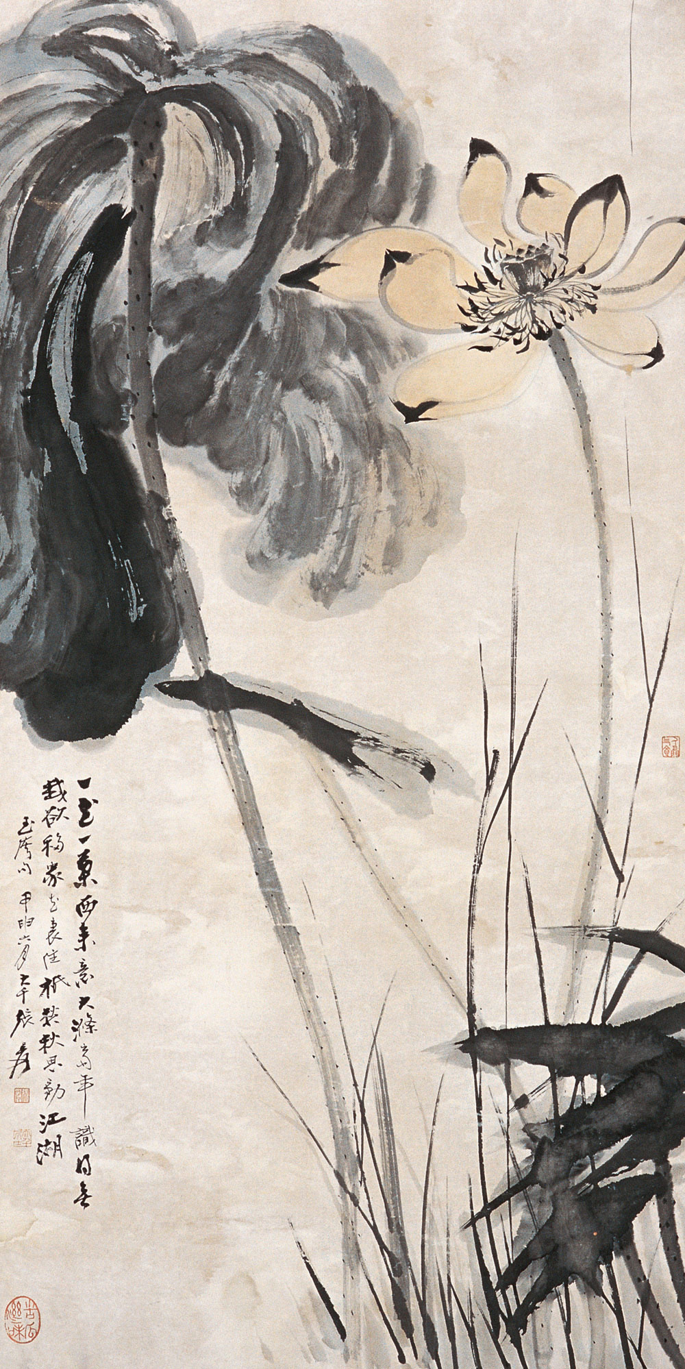 国画颜料哪几种有毒,画荷花国画颜料