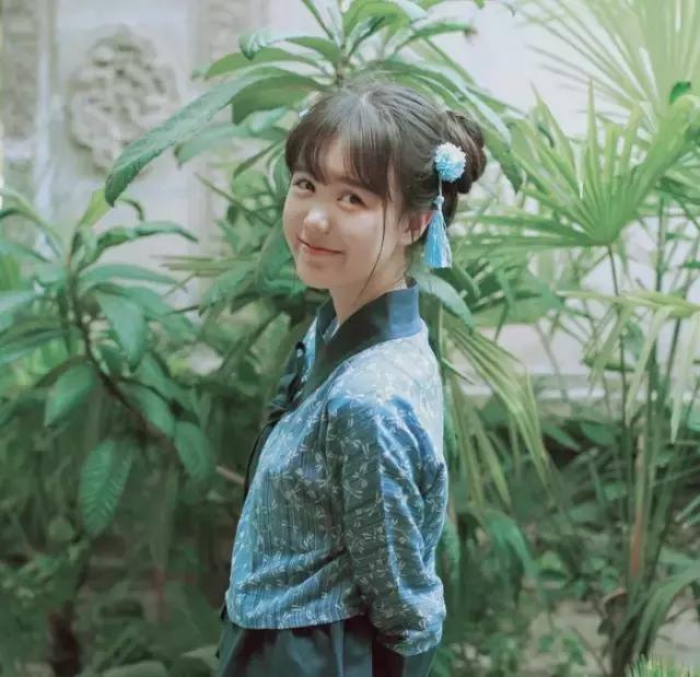 汉服之美谓之华作文,汉服之美的文章