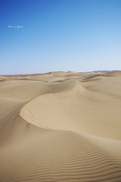 成都自驾额济纳旗攻略,额济纳旗深度游旅行攻略