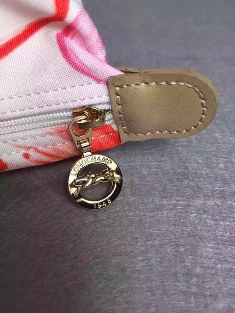 longchamp饺子包耐用吗,longchamp饺子包辨别真假