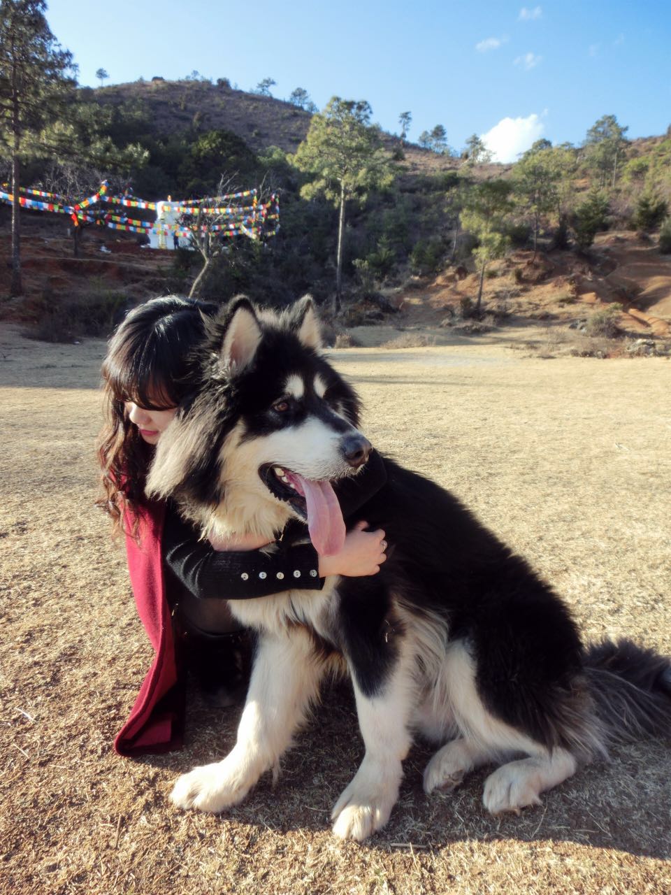 宠爱故事免费观看,宠爱剧情梗概