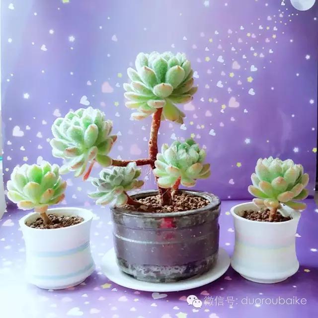 入坑就不能自拔,入坑后无法自拔