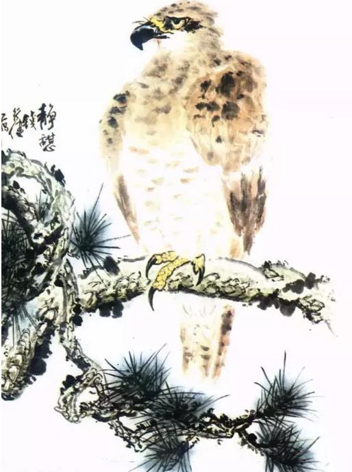 国画之鹰作品大全大图,国画大写意鹰图片大全