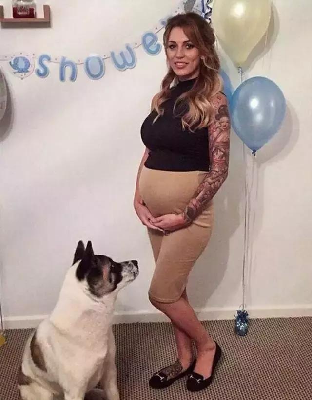 怀孕的狗狗一直哀嚎,怀孕狗狗反常焦躁走来走去还哼唧