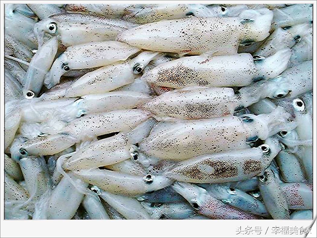 开海后去海边看的第一波海鲜,开海季鲅鱼带鱼