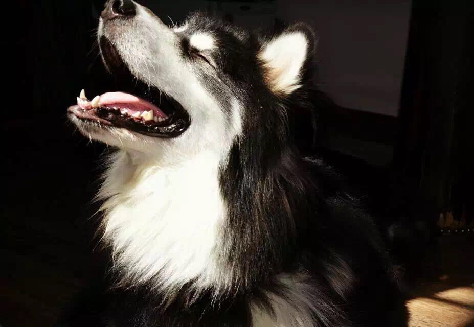 宠爱故事免费观看,宠爱剧情梗概