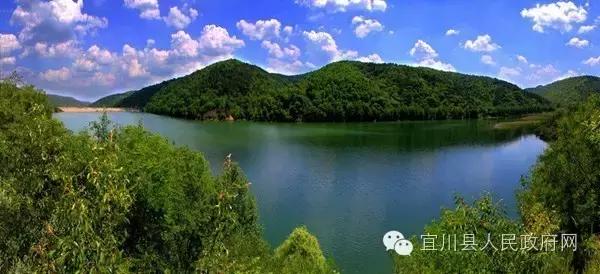 县长谈教育振兴,县长谈乡村振兴