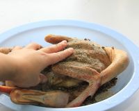 南京桂花鸭盐水鸭,南京韩复兴桂花鸭