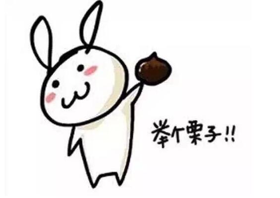 注意过狗粮中红白肉吗？！为了你家汪，看看这里吧！