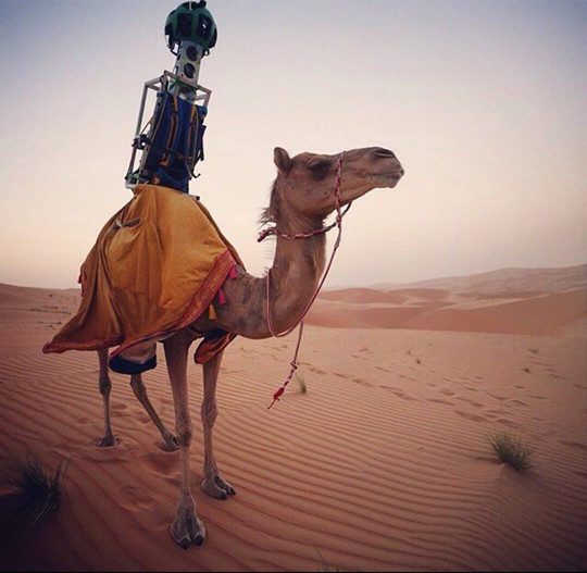 谷歌认证导出账号,谷歌认证程序