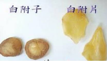 涓嵂榛戦檮瀛愬浣曠厧,涓嵂澶ч檮瀛愮殑鍒悕