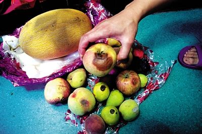 花友在绿萝旁放一些水果,结果满屋子小黑飞