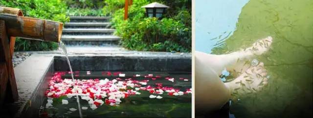 零下80度上海,上海零下9.8度