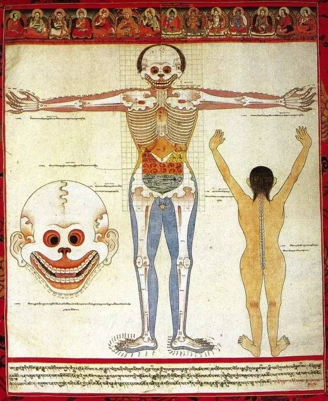 画在唐卡上的医书，令人惊叹！