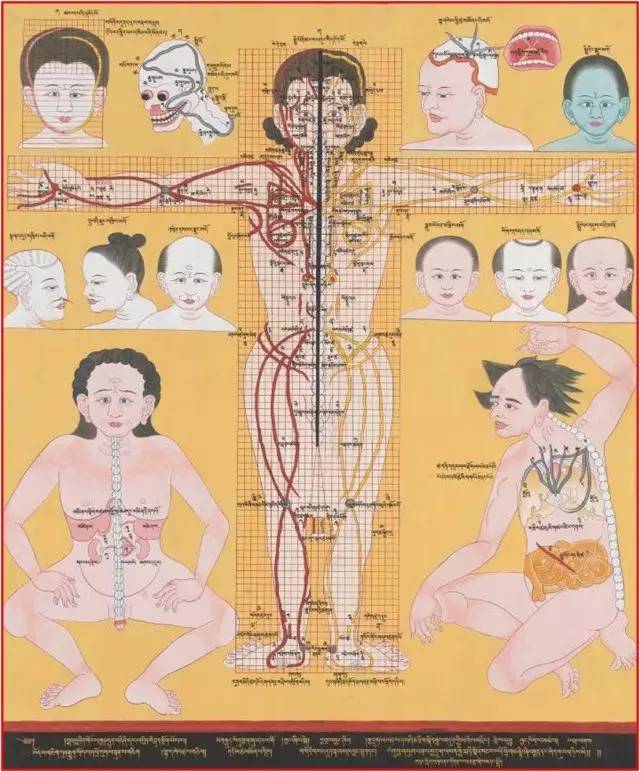 画在唐卡上的医书，令人惊叹！