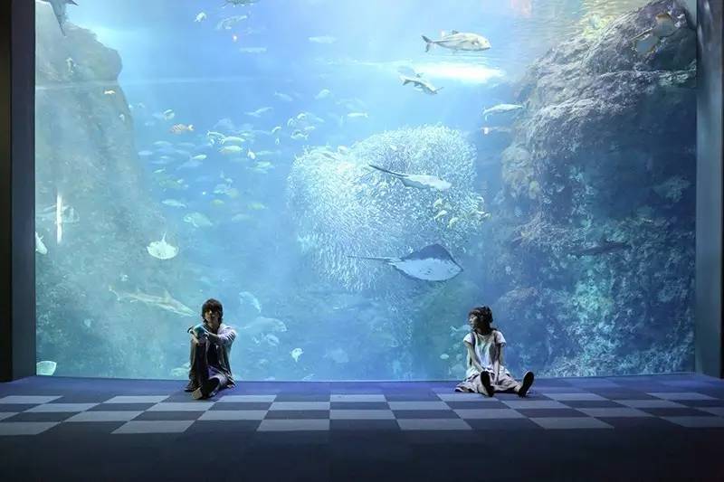 有一部特别小清新剧,日系小清新电视剧