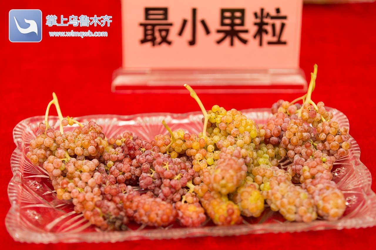 自带花香味的葡萄你吃过吗,吃葡萄不吐葡萄皮的葡萄怎么挑