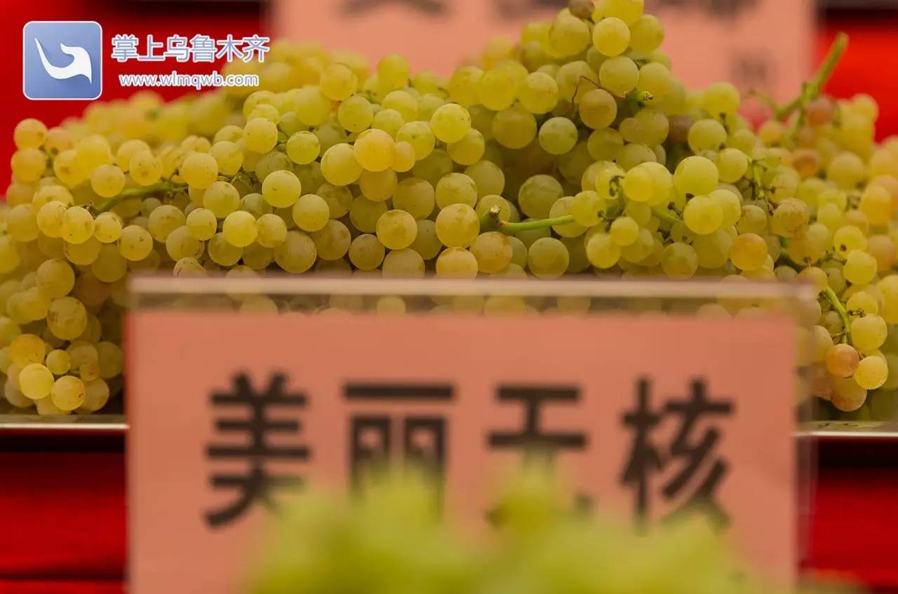 自带花香味的葡萄你吃过吗,吃葡萄不吐葡萄皮的葡萄怎么挑