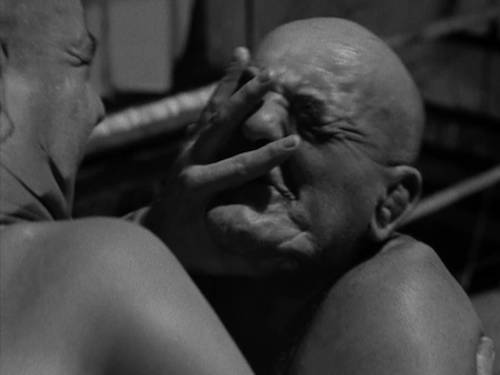 2021年7部超燃劲爆动作电影,推荐三部2021年劲爆动作电影