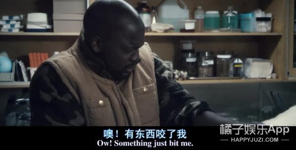 密集恐惧者请绕行,友情提示胆小的朋友请谨慎观看