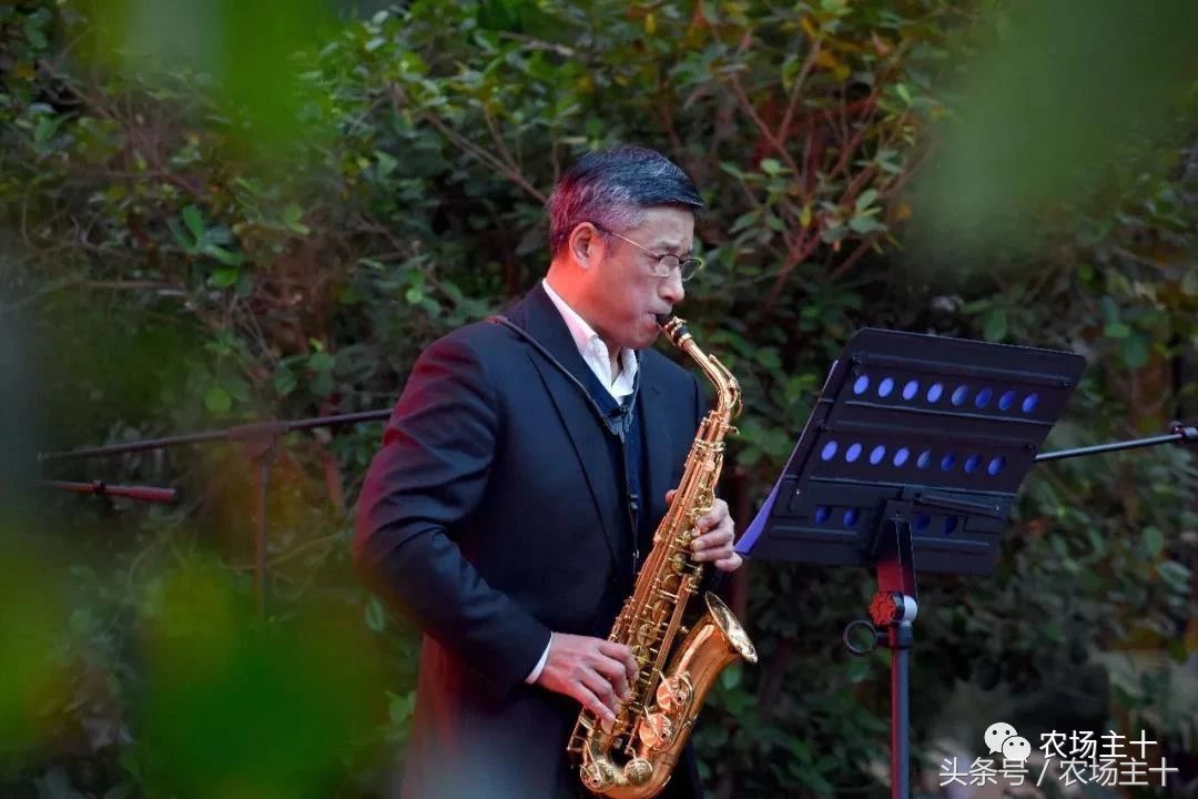 成功的休闲农庄需要具备哪些条件,做休闲农庄必须考虑的几个问题