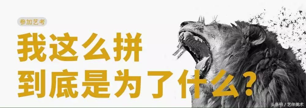 栾树画室北京,栾树画室