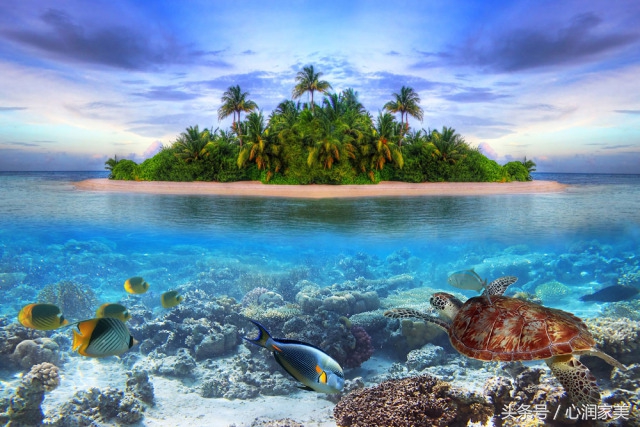 求助心理咨询视频,心理求助咨询什么电话