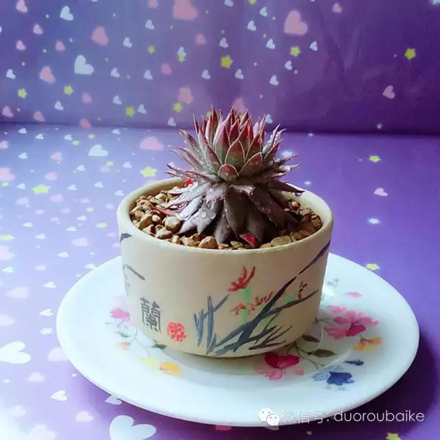 入坑就不能自拔,入坑后无法自拔