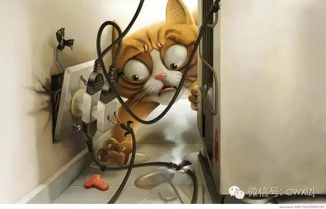猫和网线坏了怎么办,猫和老鼠致命问题